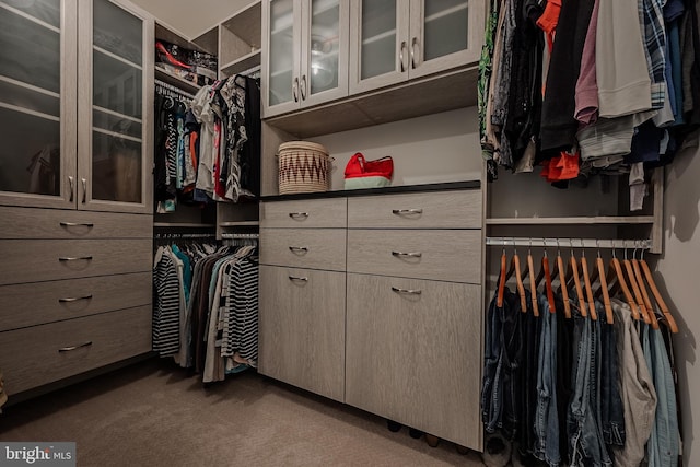 walk in closet with dark colored carpet