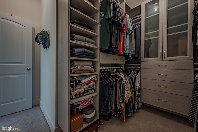 spacious closet featuring carpet flooring