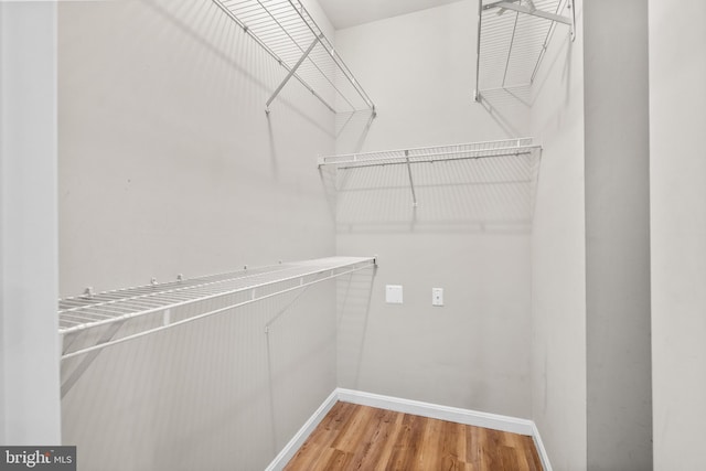 spacious closet featuring wood-type flooring