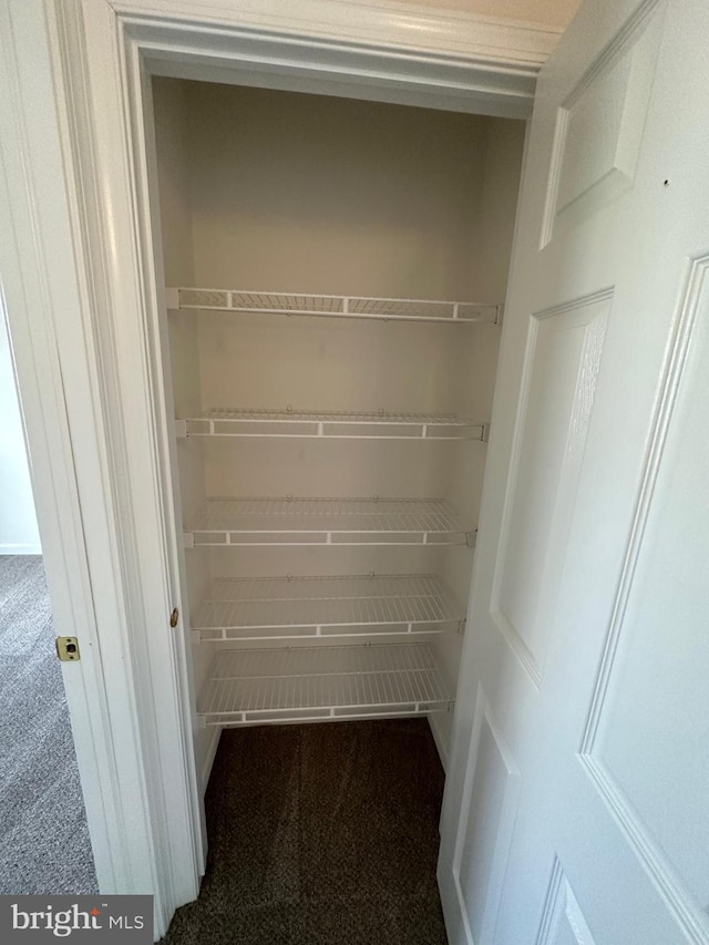 34813 Bookhammer Landing Rd, Lewes, DE 19958 - view of closet