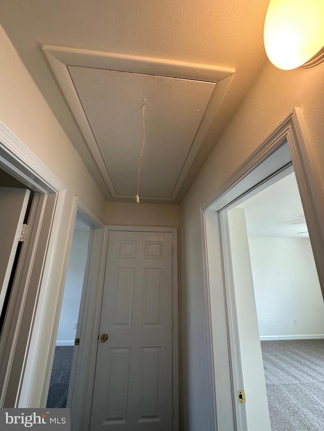 hallway featuring carpet flooring