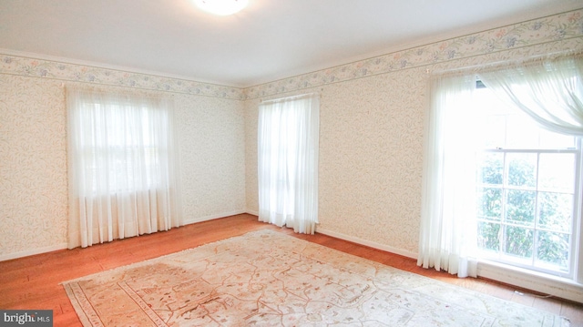 unfurnished room featuring hardwood / wood-style floors and a healthy amount of sunlight