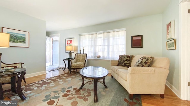 living room with baseboards and wood finished floors