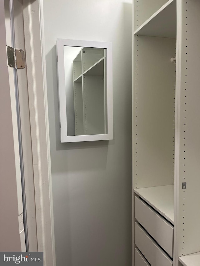 view of spacious closet