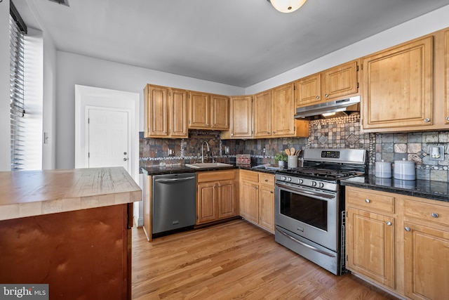 kitchen featuring appliances with stainless steel finishes, backsplash, light hardwood / wood-style floors, and sink