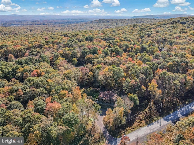 bird's eye view