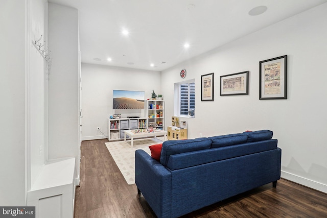 living room with dark wood-type flooring