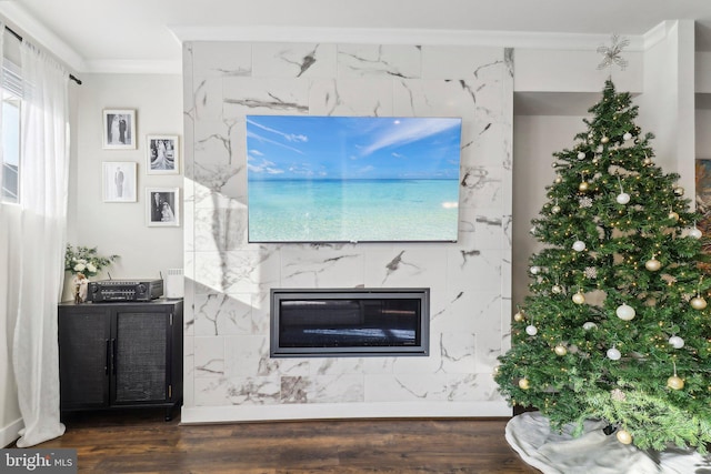 interior details featuring hardwood / wood-style floors, crown molding, and a high end fireplace