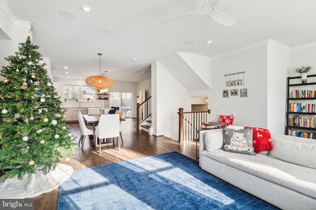 living room with dark hardwood / wood-style floors, ceiling fan, and crown molding