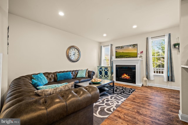 living room featuring hardwood / wood-style flooring