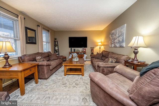 living room featuring a textured ceiling