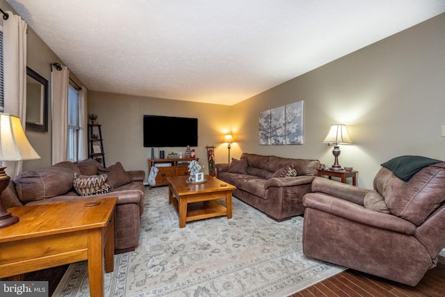 living room featuring a textured ceiling and hardwood / wood-style flooring