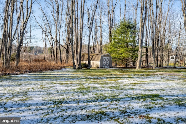 view of yard with an outdoor structure