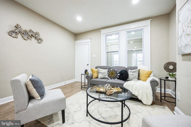 living room featuring hardwood / wood-style floors