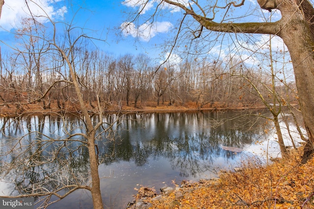 property view of water