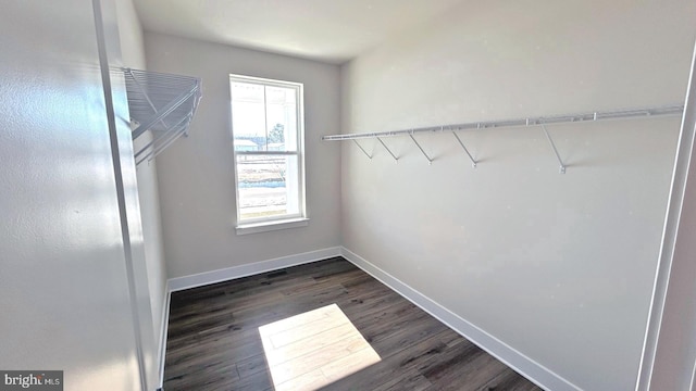 spacious closet featuring dark wood-type flooring