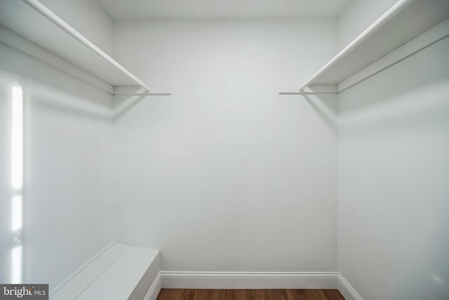 spacious closet with dark hardwood / wood-style floors