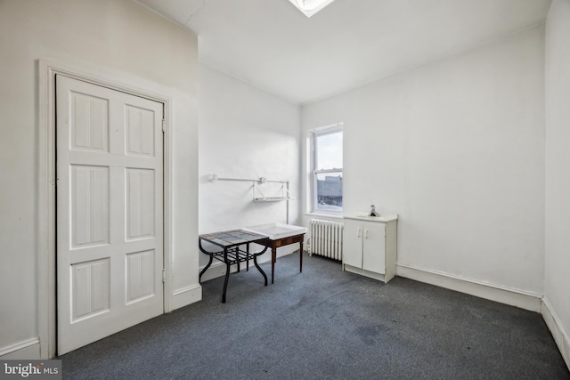 interior space featuring dark colored carpet and radiator heating unit