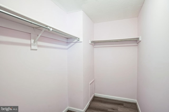 spacious closet with hardwood / wood-style floors