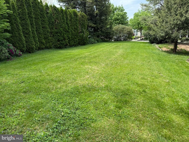 view of yard