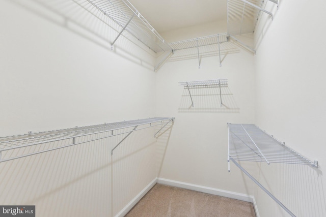 spacious closet with carpet floors