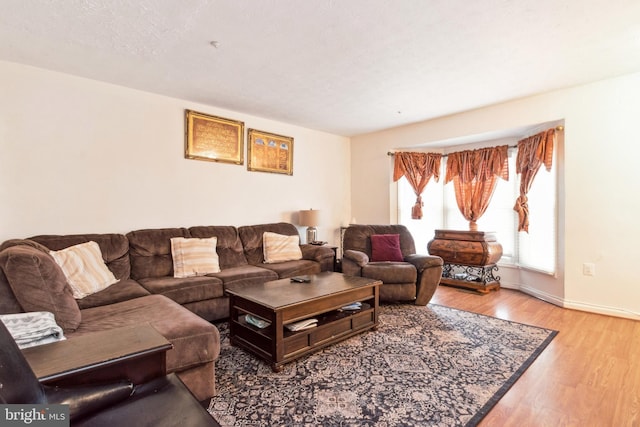 living room featuring wood-type flooring