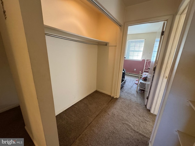 closet with baseboard heating