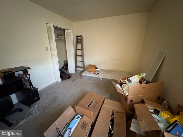 unfurnished bedroom featuring carpet