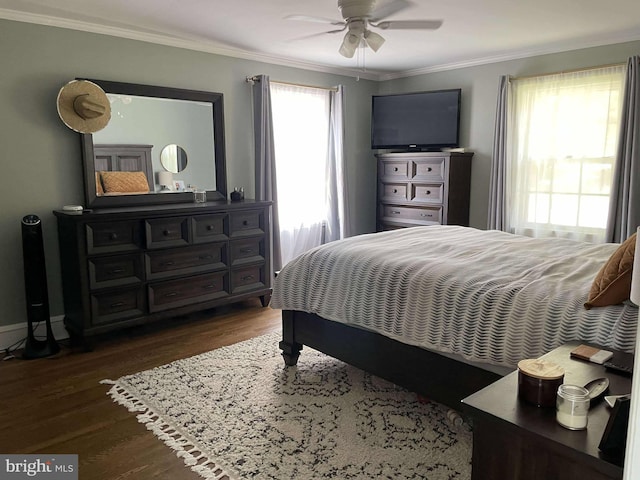 bedroom featuring dark hardwood / wood-style floors, multiple windows, ornamental molding, and ceiling fan