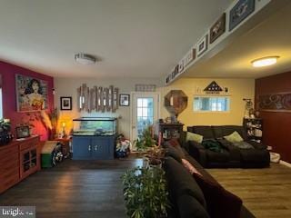 living room featuring dark hardwood / wood-style floors