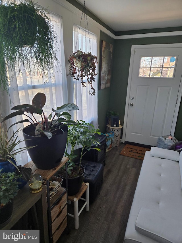 entryway with dark wood-type flooring