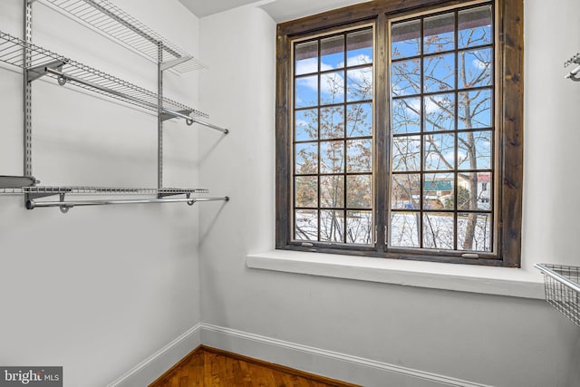 walk in closet featuring wood-type flooring