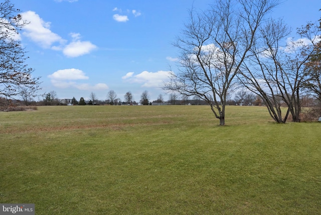 view of yard with a rural view