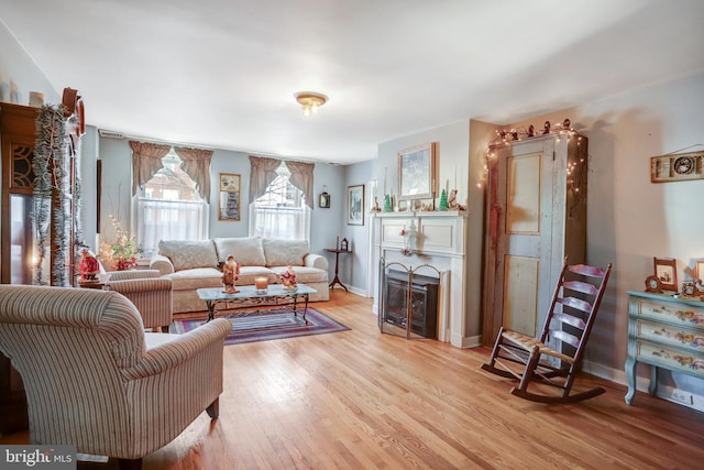 living room with light wood-type flooring