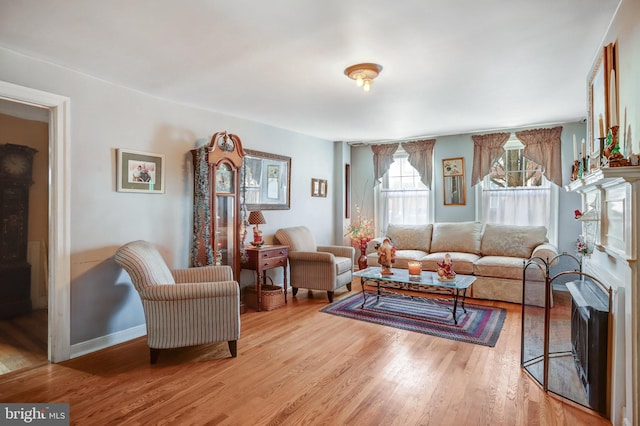 living room with hardwood / wood-style floors