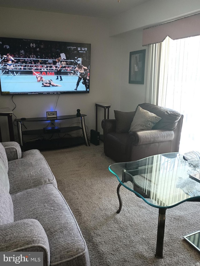 living room featuring carpet floors