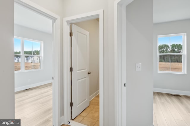 hallway with plenty of natural light and light hardwood / wood-style flooring