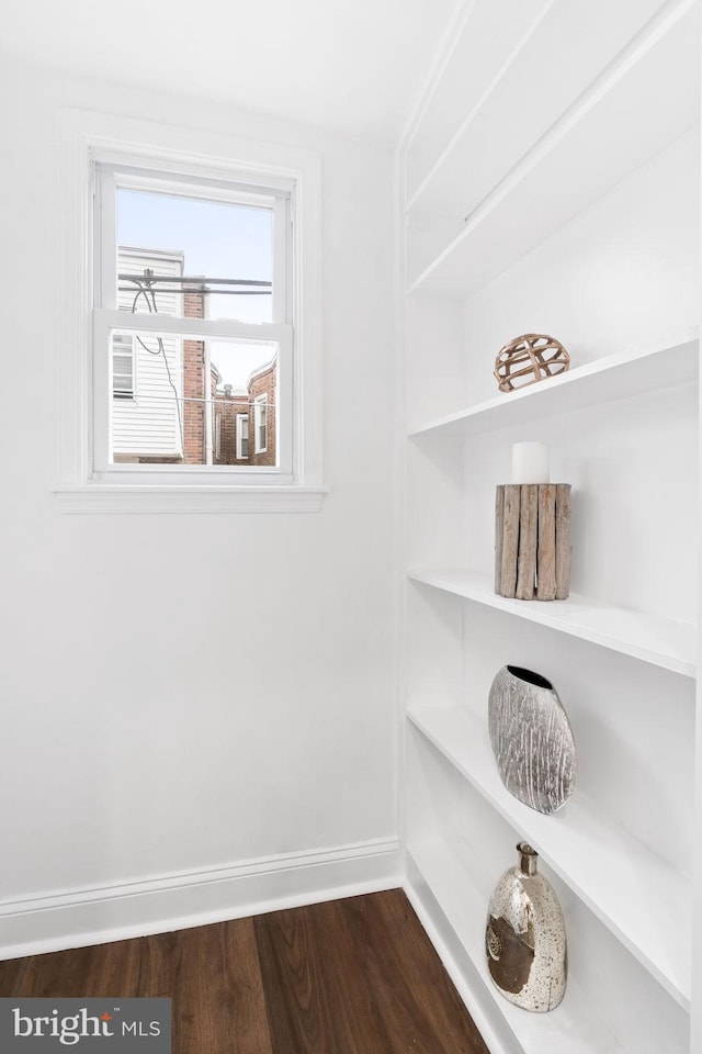 walk in closet featuring dark hardwood / wood-style flooring