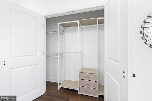 view of closet