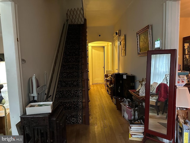 hallway featuring a healthy amount of sunlight and wood-type flooring