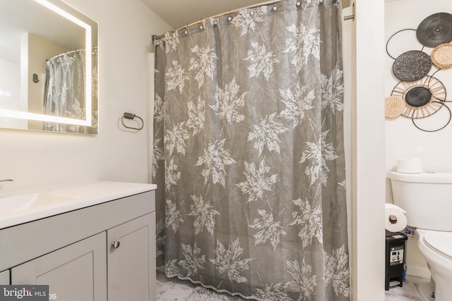 bathroom with toilet and vanity