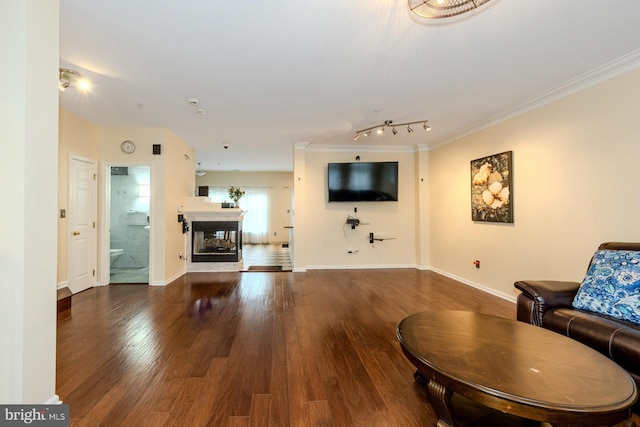 living room with a multi sided fireplace, crown molding, and hardwood / wood-style flooring