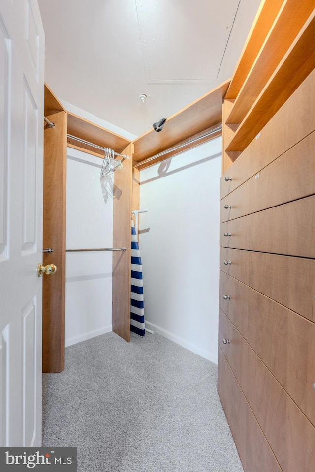 walk in closet with light colored carpet