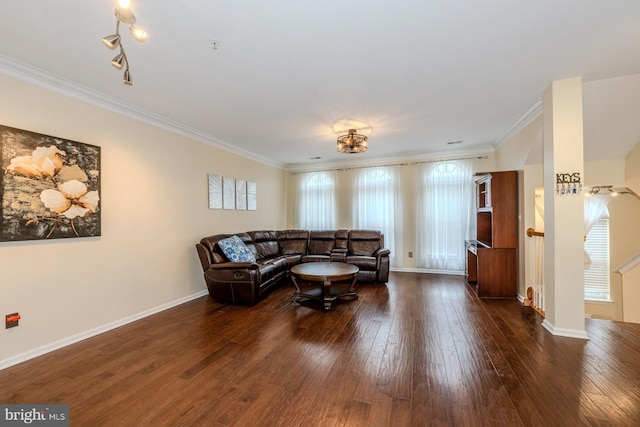 living room with crown molding and dark wood-type flooring