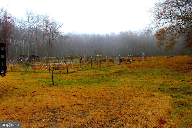 view of yard featuring a rural view