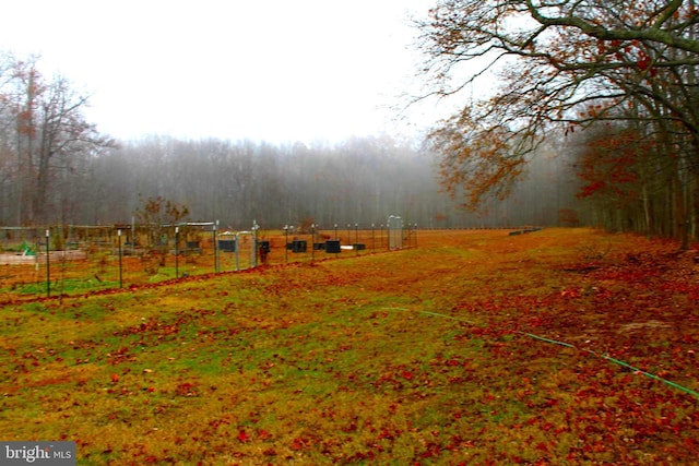 view of yard with a rural view