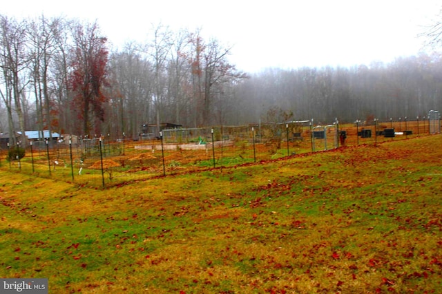 view of yard with a rural view