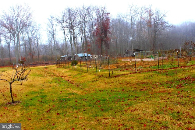 view of yard with a rural view