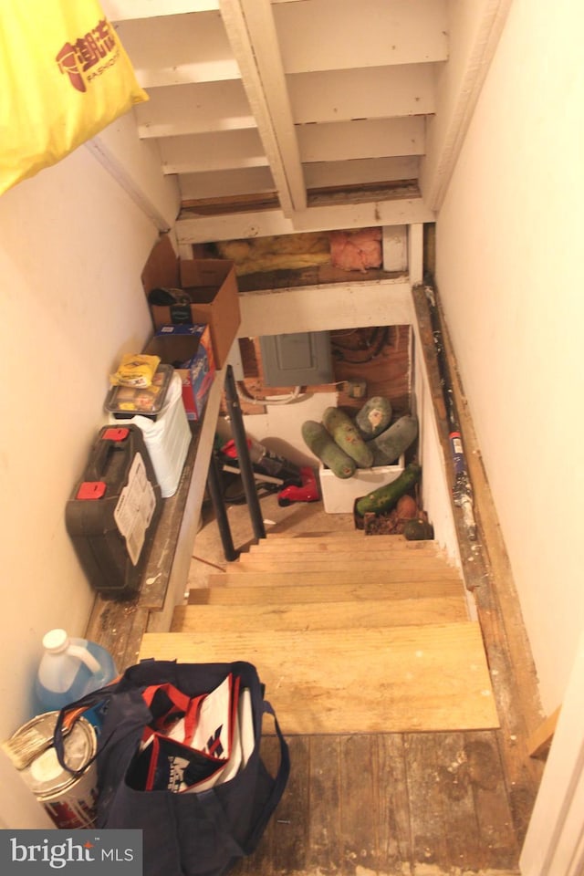 staircase featuring wood-type flooring