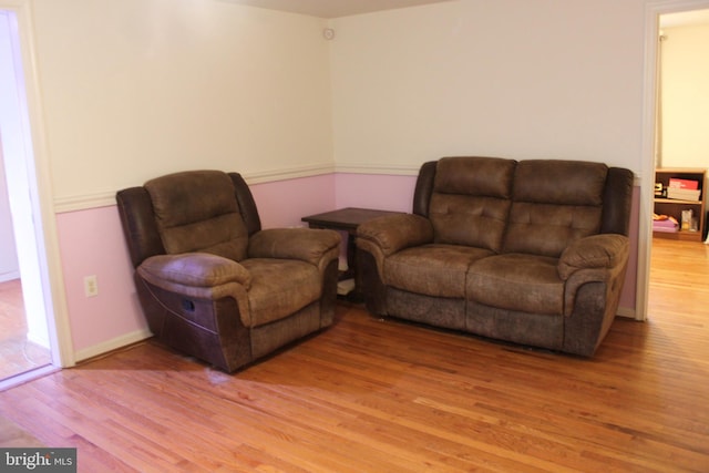 living room with light wood-type flooring